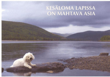 Skjermbilde 2014-02-05 kl. 22.12.29