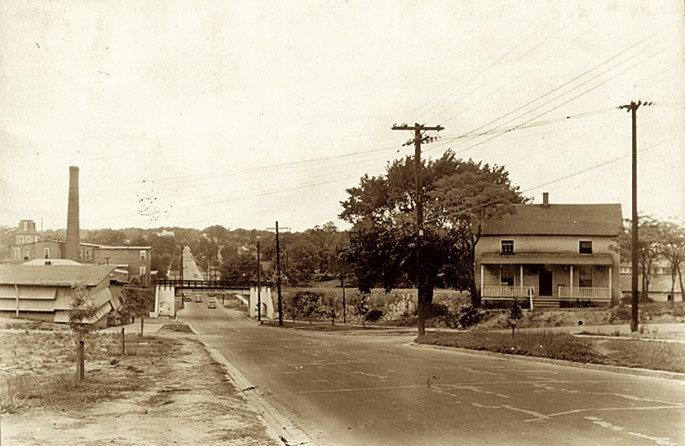Shade and Street Tree Planting