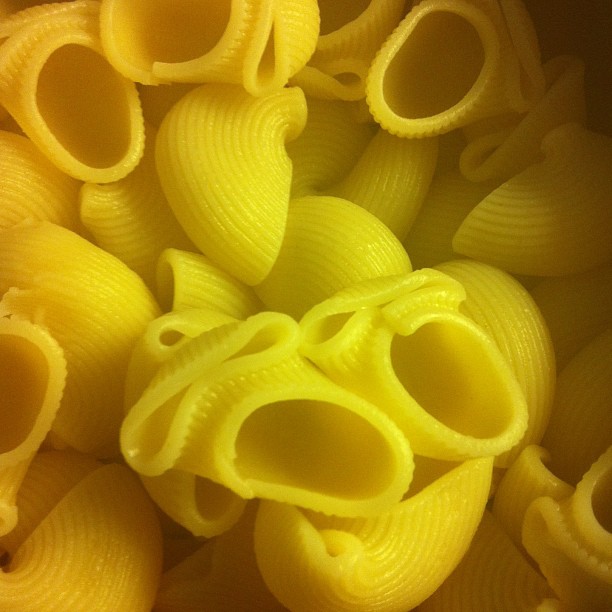 394184_10152806783010713_1189718371_n