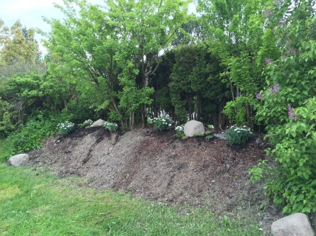 2015-05-25 19.32.51 HDR