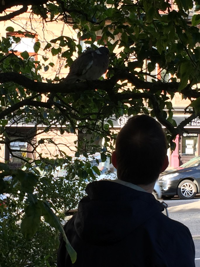 2015-06-21 19.13.41 HDR