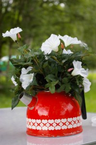 287847-2-1248796656646-n400